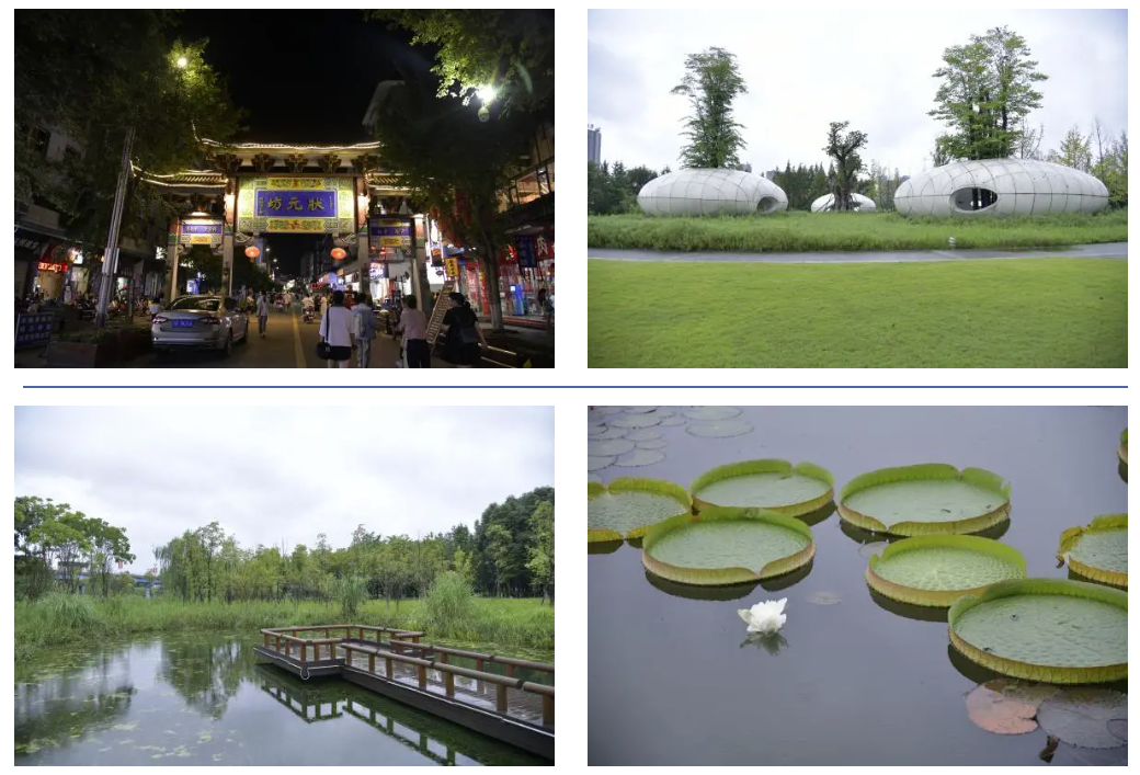 （項(xiàng)目實(shí)地風(fēng)景）